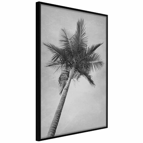 Paris prix 5901493717503 - 21 cm