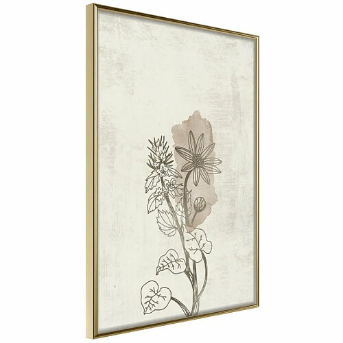 Paris prix Life Of Plants - 42 cm