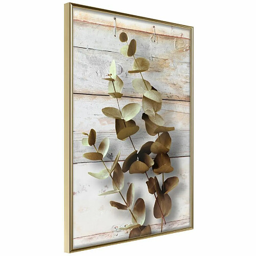 Paris prix Decorative Twigs - 30 cm