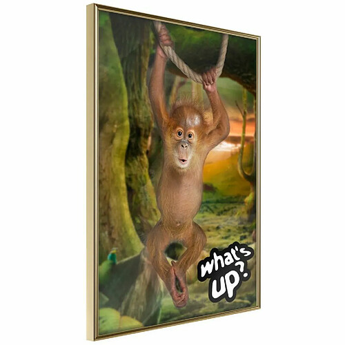Paris prix Life in the Jungle - 40 cm