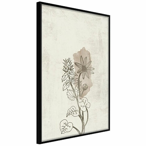 Paris prix Life of plants - 45 cm
