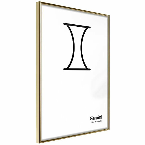 Paris prix Zodiac Gemini II - 60 cm