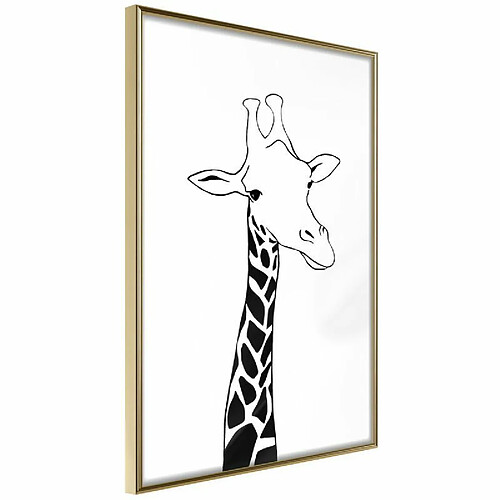 Paris prix Strong Roots - 45 cm