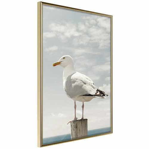 Paris prix Curious Seagull - 60 cm