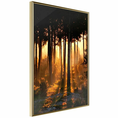 Paris prix Dark Tree Tops - 42 cm