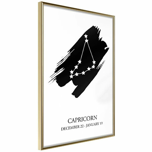 Paris prix Zodiac Capricorn I - 30 cm