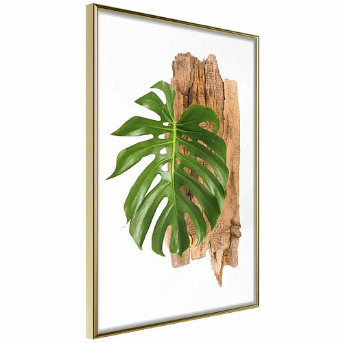 Paris prix Leafy Etude - 21 cm