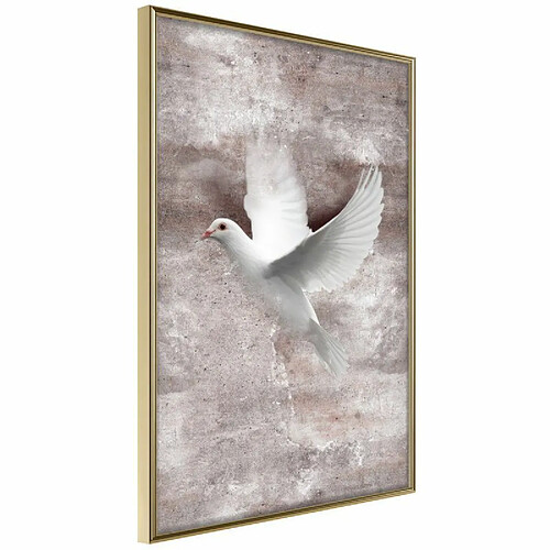 Paris prix Daily Fresh - 45 cm
