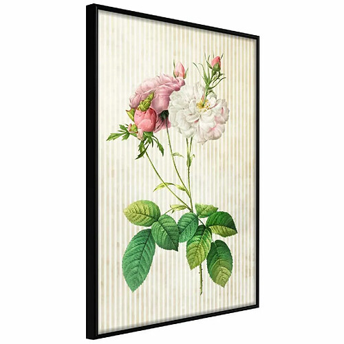 Paris prix 5904419684996 - 30 cm