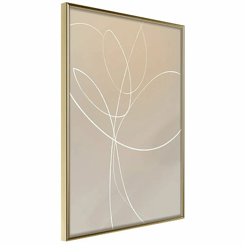 Paris prix White Tulip - 21 cm