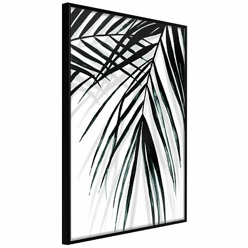 Paris prix Leaf and Its Shadow - 60 cm