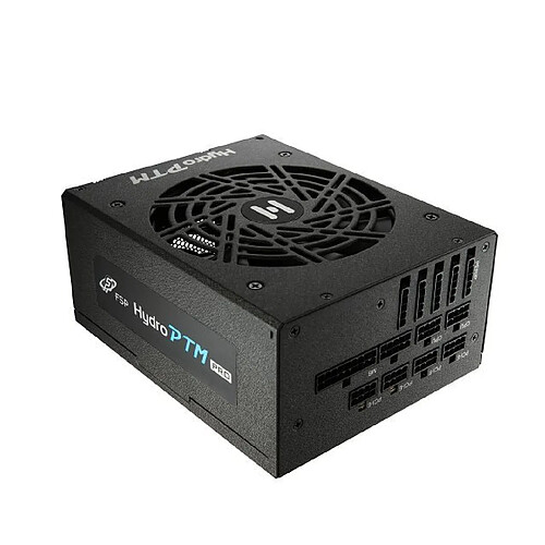 Fortron PTM Pro