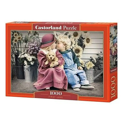 Castorland Puzzle First Love 1000 pièces
