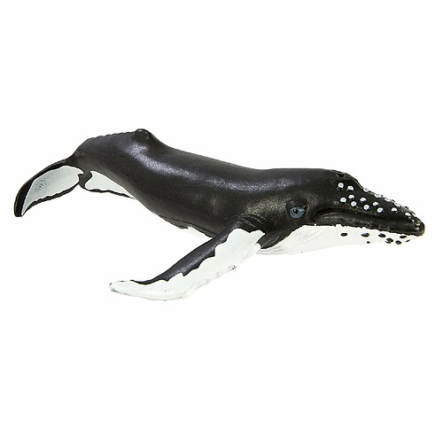 Safari Figurine baleine à bosse