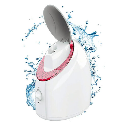 Chrono Vaporisateur facial nano-ionique