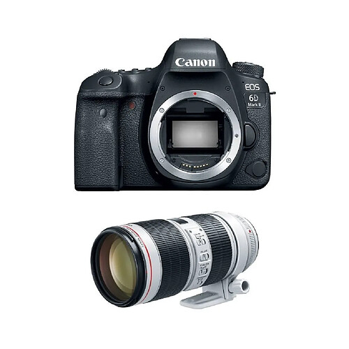 Canon EOS 6D II + EF 70-200mm F2.8L IS III USM
