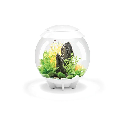 Aquarium décoratif 30l blanc - HALO 30 MCR WHITE - Biorb Halo - OASE