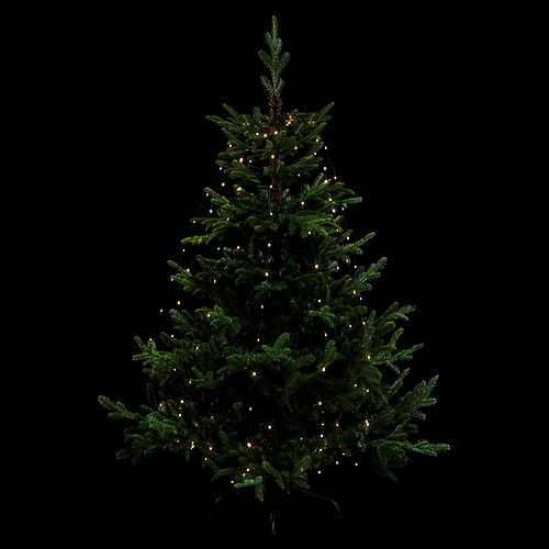 Feeric Lights And Christmas FEERIC CHRISTMAS Guirlande Extérieure L.170 blanc chaud