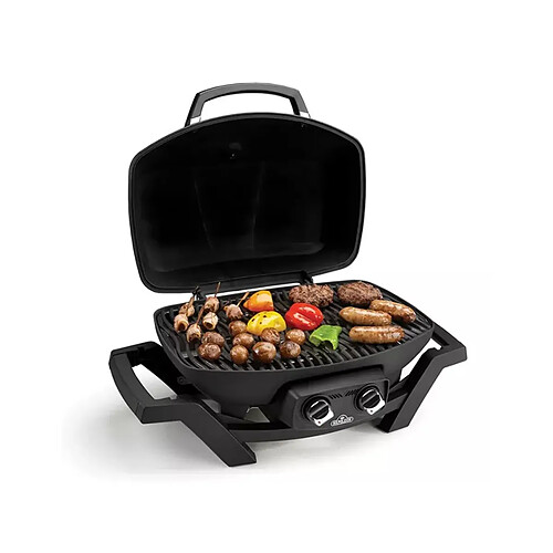 Napoleon Travel Q PRO 285