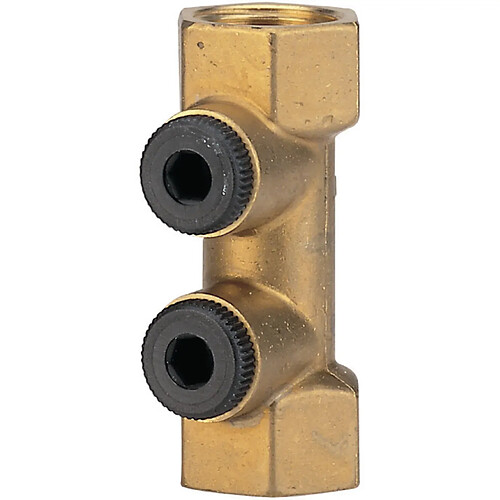 Watts Industries Clapet antipollution