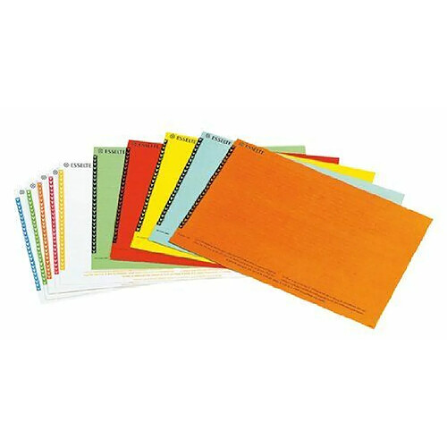 Alive Records Esselte 325800 Étiquettes Dossiers Suspendus - 250 pièces