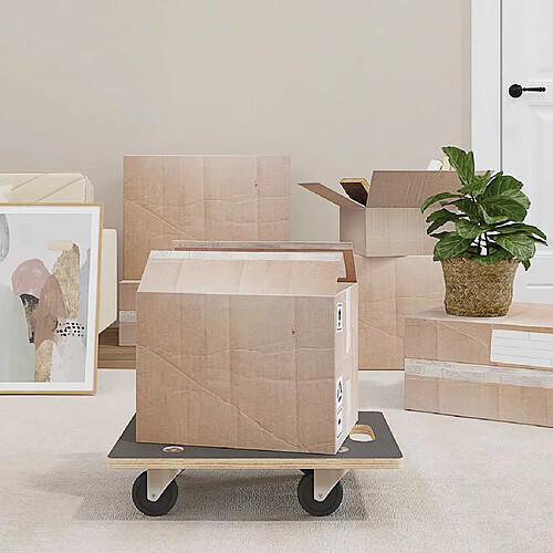 vidaXL Chariots transport 2 pcs 50x35x11.5 cm