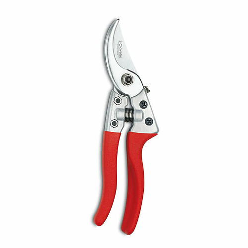 3 CLAVELES 21 cm