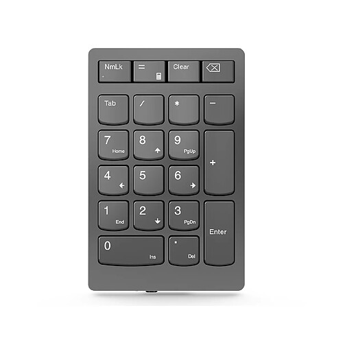 Lenovo Go - Gris