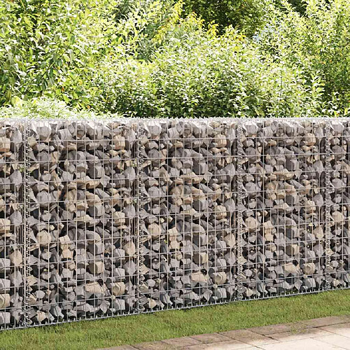 vidaXL Mur en gabion Acier galvanisé 300x50x100 cm