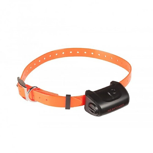 Canicom Collier Supplémentaire 5