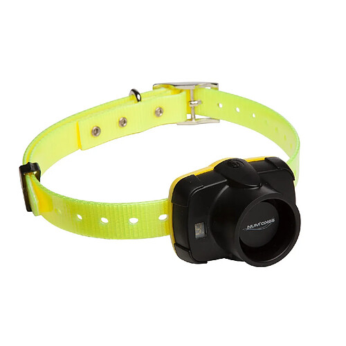Canibeep Collier de repérage 5
