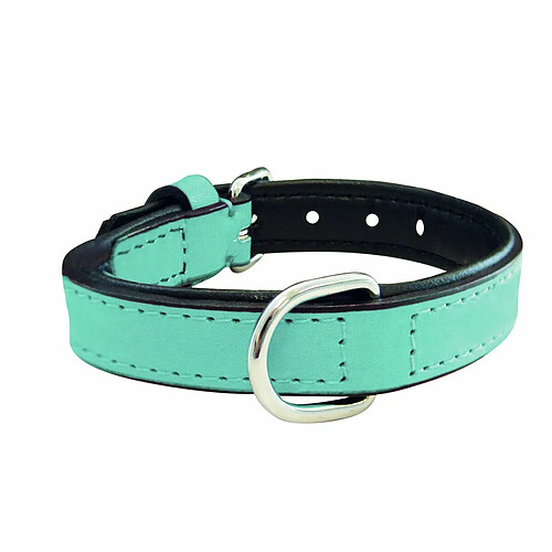 Gloria Collier pour Chien - 30 cm - Bleu