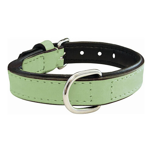 Collier pour Chien Gloria Rembourré Jaune