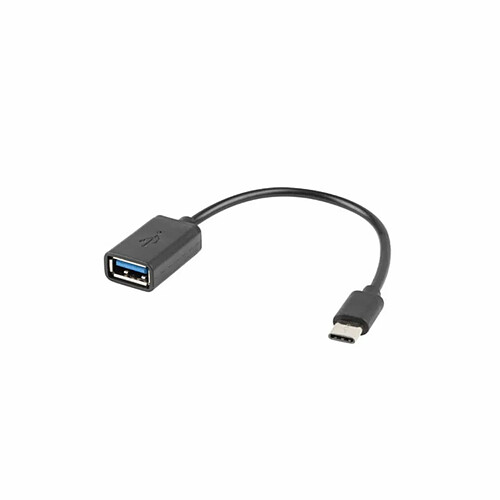 Lanberg USB C vers USB