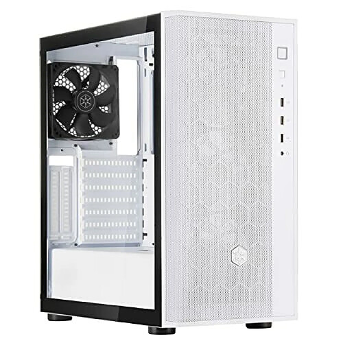 Silverstone Fara R1 V2 Blanc