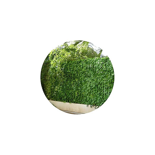 Jet7garden Brise vue 1,5 x 3 m