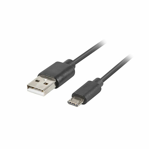 Lanberg CA-USBM-20CU-0010-BK - Noir