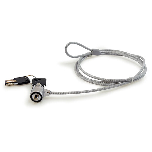 Conceptronic CNBSLOCK15 - 1,5 m - Argent