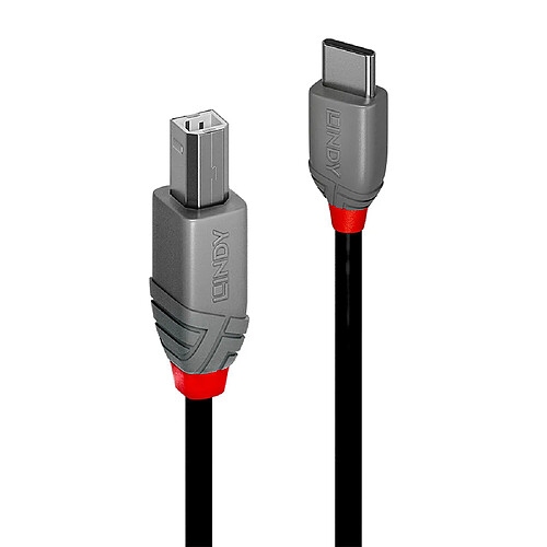 Lindy 36941 Câble USB - Noir