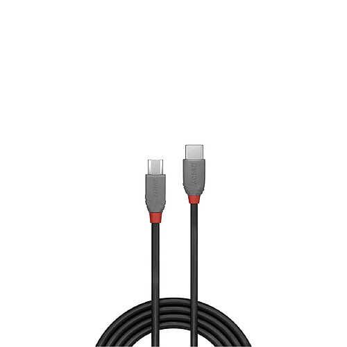 Lindy USB 2.0 Type C/Micro-B