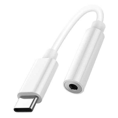Avizar Adaptateur Audio USB-C vers Jack 3.5mm Blanc