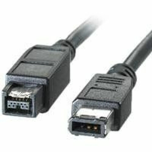 Fox Pathé Europa Roline Câble IEEE 1394 9/6 1.8m Noir