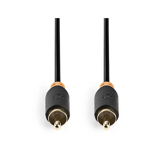 NEDIS Câble Audio RCA Mâle Mono 2.0m