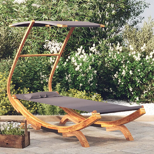 vidaXL Lit de repos avec auvent - Anthracite