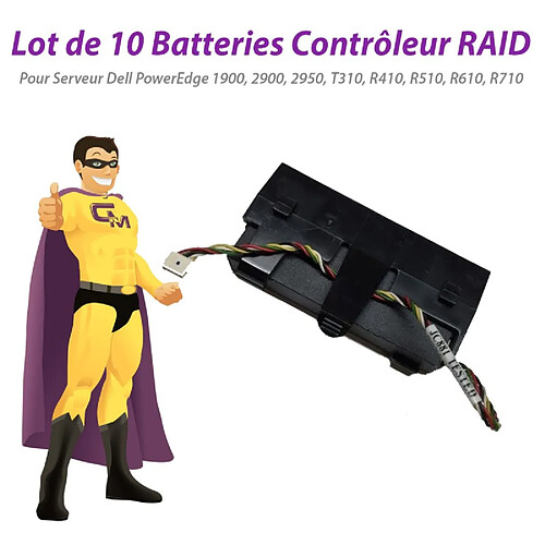 Dell - Lot x10 Batteries · Occasion