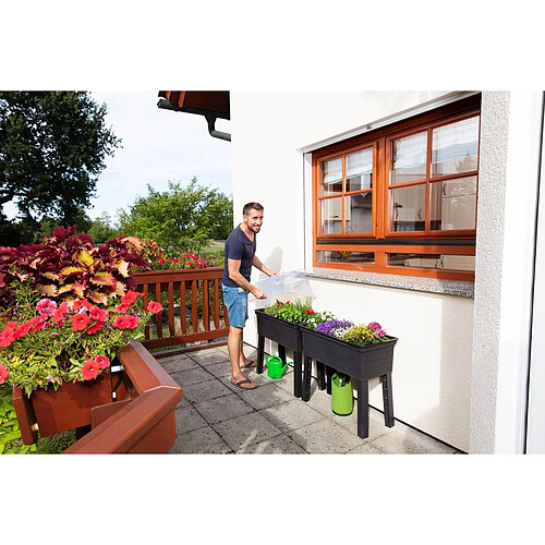 Habitat Et Jardin Kit de 3 carrés potagers Urban sur pieds avec serre - 75 x 37 x 65 cm
