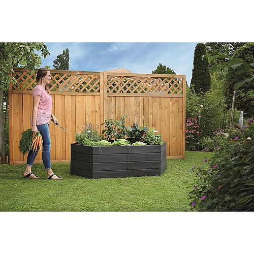 Habitat Et Jardin Kit de 2 carrés potagers Ergo + 2 sets d'extensions