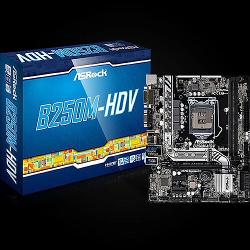Asrock B250M-HDV · Reconditionné