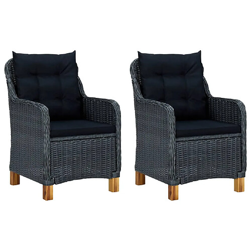 vidaXL Lot de 2 chaises de jardin avec coussins résine tressée