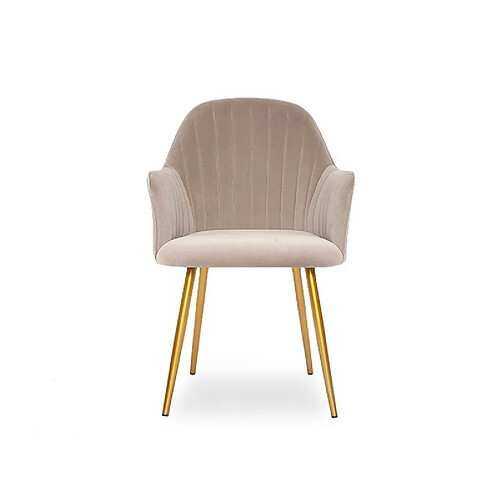 Meubler Design MEUBLER Chaise Velours Pied Or Skull Taupe